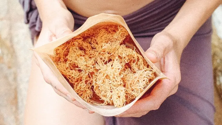 our dried DIY gel making sea moss