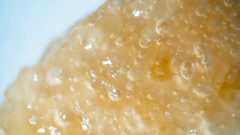 A close up at our gels