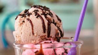 Profitable Frozen Dessert Franchise for Sale in Warner Robins