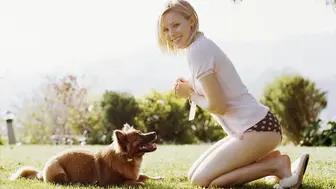 High-Profit $1.9M+ Pet Nutrition Franchise – NY