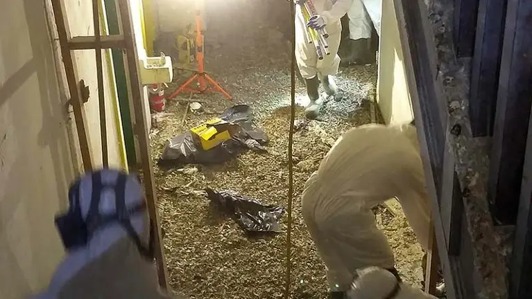 Sanitization and clean up after biological intrusion and wildlife