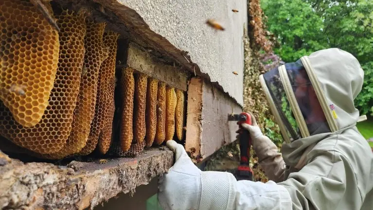 Safely remove and relocate