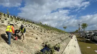 Environmental Landscape Restoration Contractor