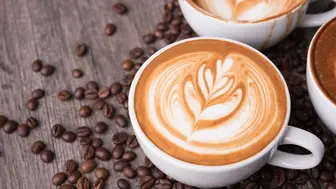 Multi-Location Coffee Café and Roastery #1053