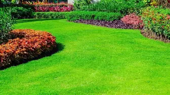 Lawn Care Business with Recurring Revenue & Year-Round Services