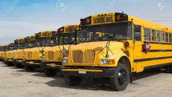 Northeast Ohio School & NEMT transportation company for sale