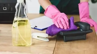 Growing Maid and Cleaning Service in Tampa