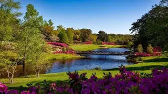 BEACH CITY Outdoor Café | Est. 1988 | $1.3M Revenue | ~$320K SDE