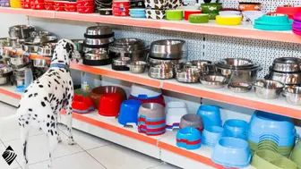 Established Retail Business; Loyal Customers & Stable Operations!