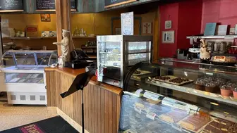 Amazing Italian Pizzeria and More