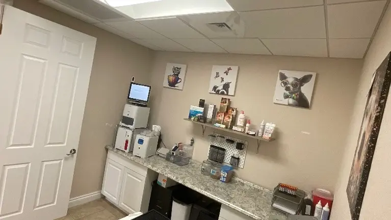 Smallest exam room: Idexx Catalyst, Procyte One, Invue and SnapDx Smallest exam room: Idexx Catalyst, Procyte One, Invue and SnapDx