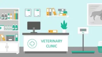 Veterinary Practice - finally a Life-Work Balance!