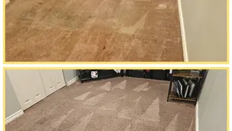 Carpet and Upholsery Franchise Business For Sale