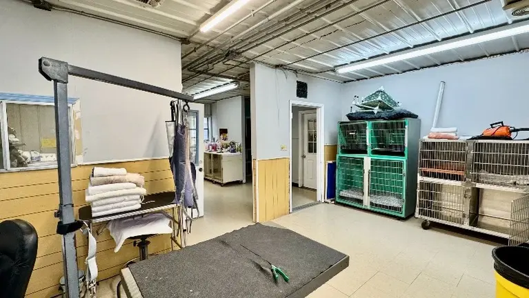 Grooming area Grooming area