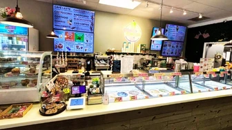 Top-Rated, Profitable Homemade Ice Cream Shop & Cafe – Orlando Metro