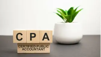  Professional Accounting and Tax Advisory Firm   