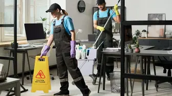 Established Suffolk County Cleaning Business: High-Profit Home-Based