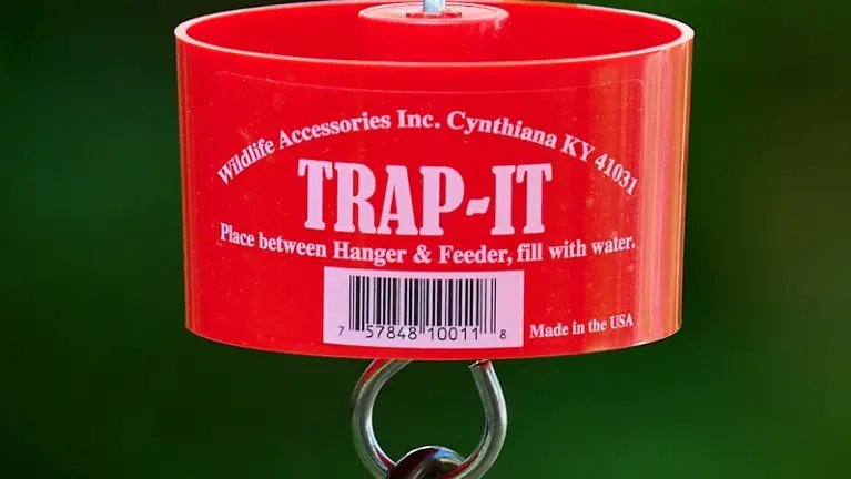 Trap-it Ant Trap