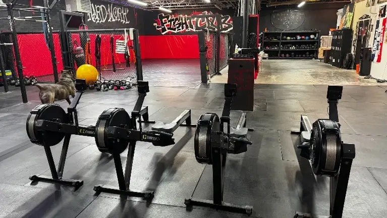 Fully functioning gym