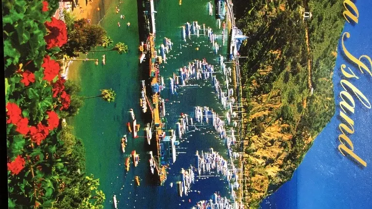 In business over 20 years in Avalon Harbor. Catalina Island.