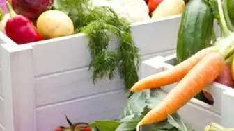 Garden Installation & Consulting Business