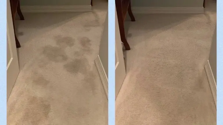 Basic Residential Cleaning