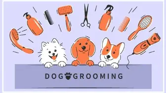 Highly Rated Pet Grooming Business for Sale