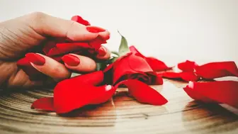 Well Established Nail Salon #3423