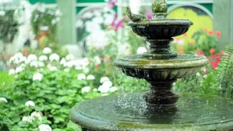 Fountain & Garden Decor Retailer