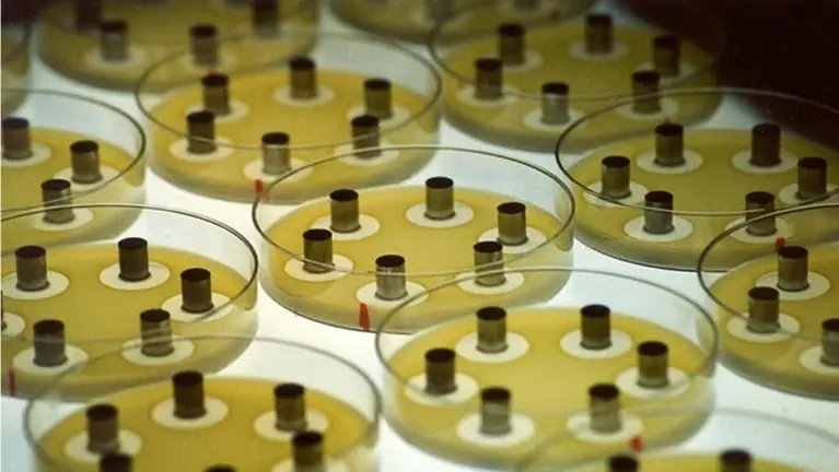 Zone Diffusion Testing