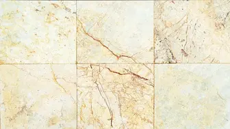 Spot Repair Services