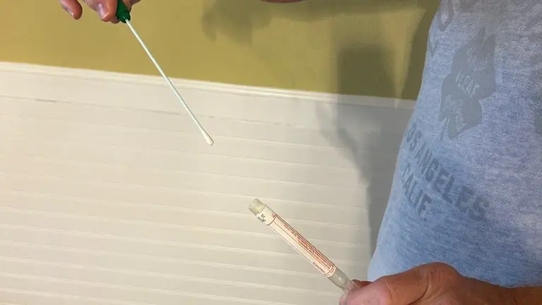 swabbing an area of concern to send to lab