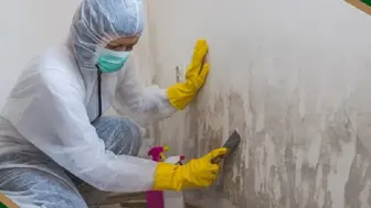 Water Damage & Biohazard Cleanup Business: Turnkey