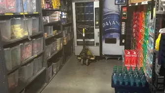 Turnkey Vending Machine Business For Sale