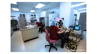 Growing Infertility Medical Practice and IVF Laboratory Los Angeles