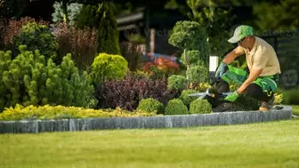 Successful, Growing Landscape Company in North Texas!