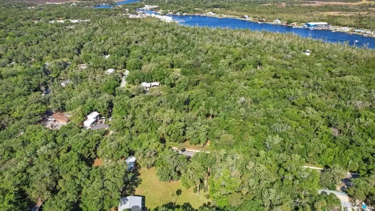 High-traffic, High Visibility on the Nature Coast High-traffic, High Visibility on the Nature Coast