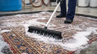 Profitable Rug Cleaning & Online Rug Sales | Established Local Brand