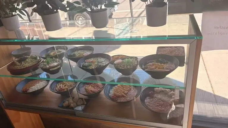 front simulation food model display