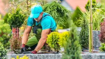 Highly Profitable Full-Service Landscaping & Snow Removal Company