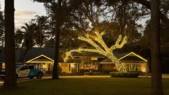Premium Exterior Cleaning & Christmas Light Business | Orlando