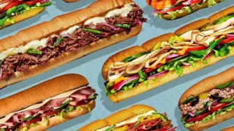 Set of two franchise sub shops in Macomb County