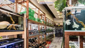 Turnkey Aquatic Business with Loyal Customers & Steady Revenue