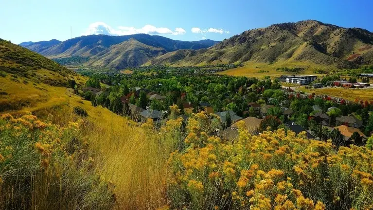 Chiropractic Practice for Sale in Denver, CO Area Chiropractic Practice for Sale in Denver, CO Area