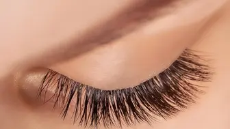 Premium Lash & Brow Studio, Turnkey Beauty Services Business