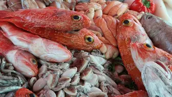 Profitable Seafood Market For Sale