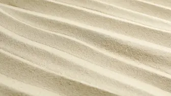 Beach Grooming SWFL - 17006