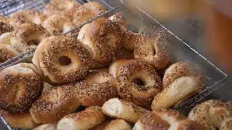 Profitable North Shore Bagel Café – $819K Revenue - $203K Cash Flow -