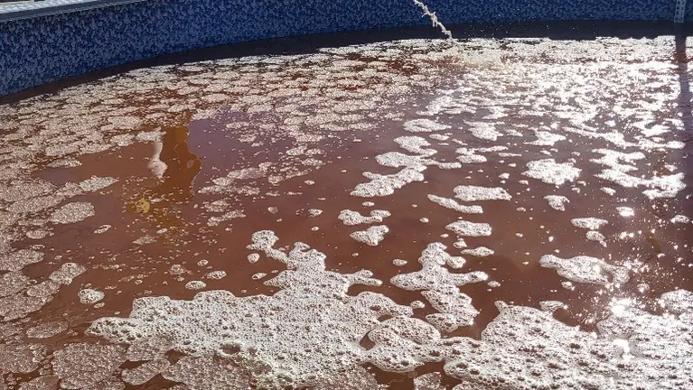 These are safe microbes and the process is simple. In this image selected cultures are being added without the need for exceptional PPE