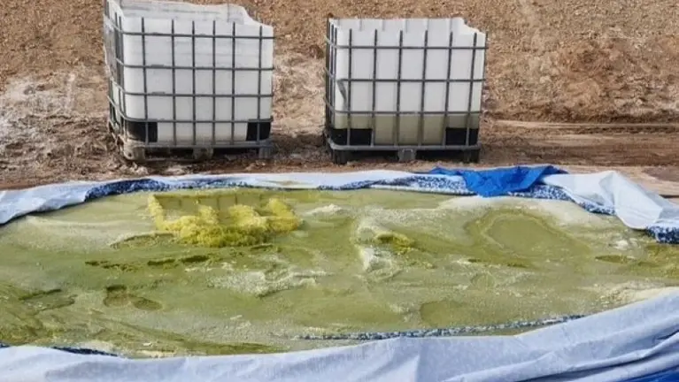 This was a control pool. Compare the results. 